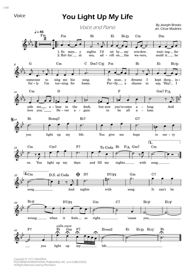 You Light Up My Life