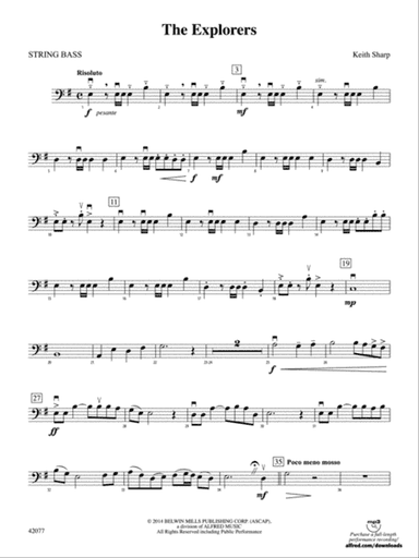 The Explorers: String Bass