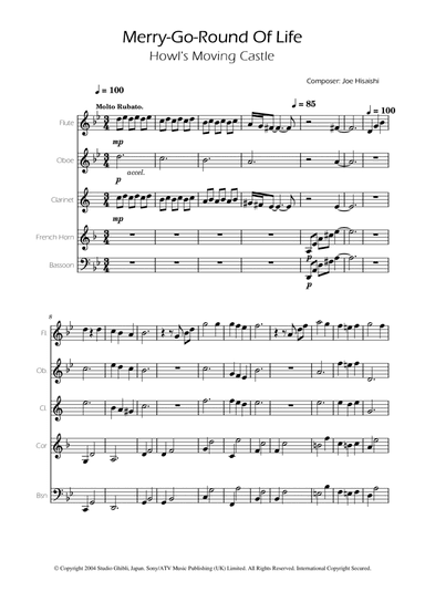 Merry-go-round Of Life