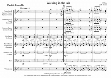 Walking In The Air