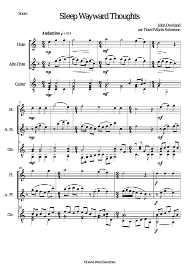 Sleep wayward thoughts for flute alto flute and guitar