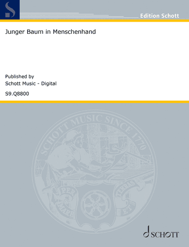 Junger Baum in Menschenhand