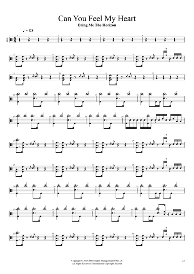 Can You Feel My Heart