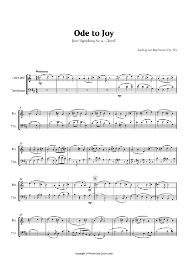 Ode to Joy by Beethoven for French Horn and Trombone Duet