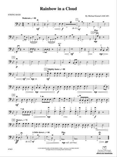 Rainbow in a Cloud: String Bass