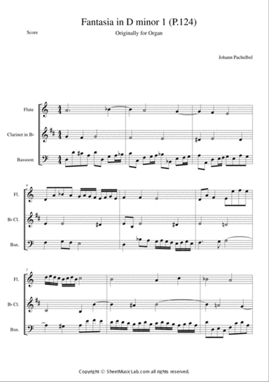 Fantasia in D minor 1 (P.124)