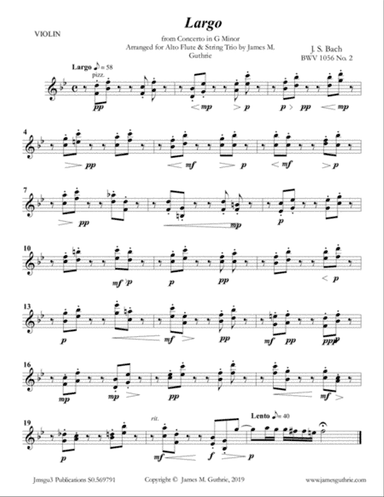 Bach: Largo from Concerto BWV 1056 for Alto Flute & String Trio