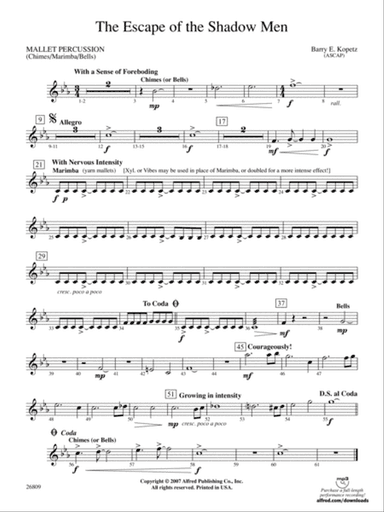 The Escape of the Shadow Men: Mallets