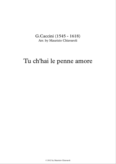 Tu c'hai le penne amore