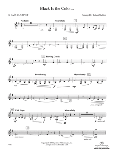 Black Is the Color...: B-flat Bass Clarinet