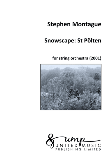 Snowscape: St Pölten