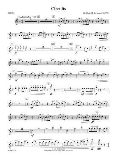 Circuits: Flute