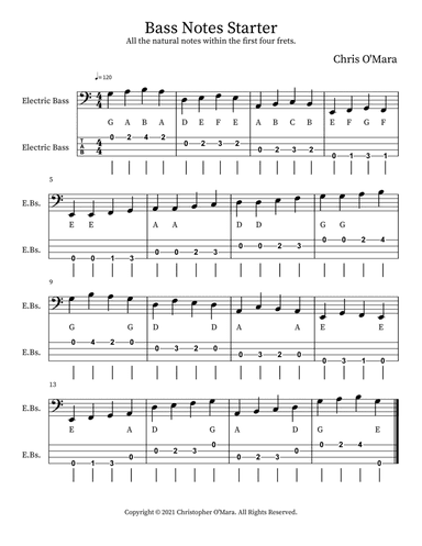 Bass Notes Starter