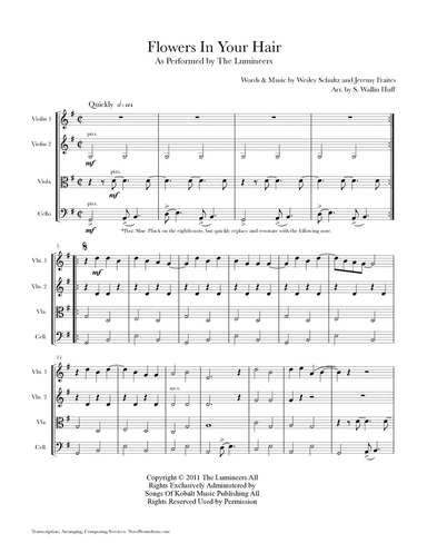 Flowers In Your Hair