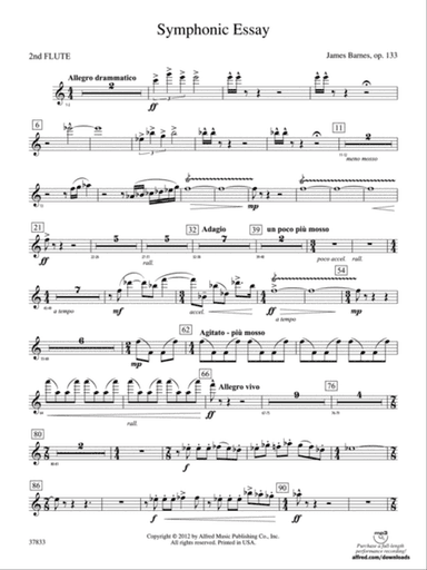 Symphonic Essay: 2nd Flute