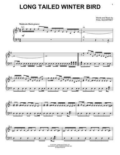 Long Tailed Winter Bird