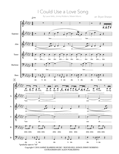I Could Use A Love Song