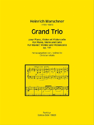 Grand Trio op. 111