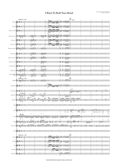 I Want To Hold Your Hand