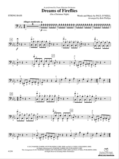 Dreams of Fireflies: String Bass