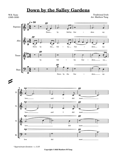 Down by the Salley Gardens