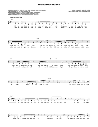 You're Makin' Me High