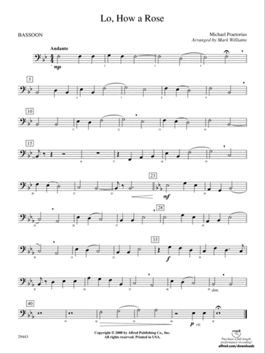 Lo, How a Rose: Bassoon