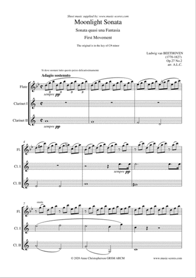 Moonlight Sonata - 1st movement - Flute and 2 Clarinets