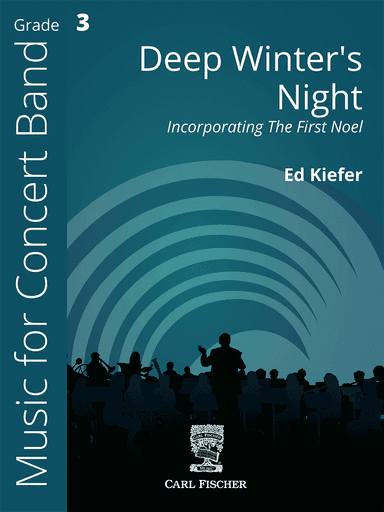 Deep Winter's Night