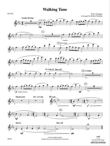 Walking Tune: Flute