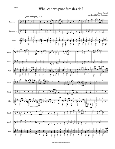 What can we poor females do, for 2 bassoons and 1 guitar