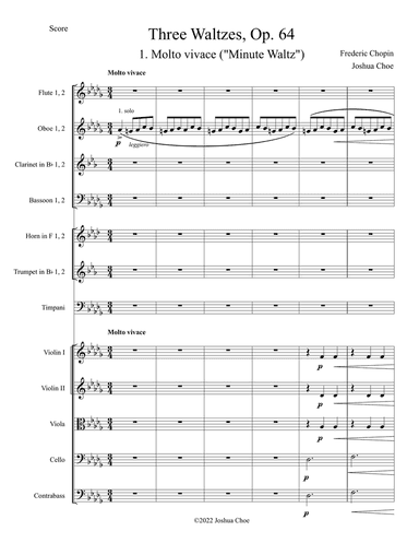 Minute Waltz ("Valse du petit chien")
