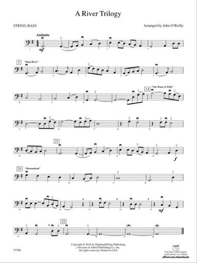 A River Trilogy: String Bass