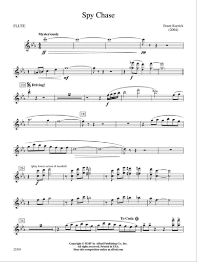 Spy Chase: Flute