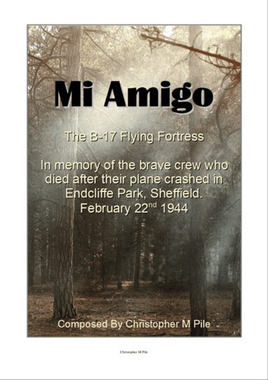Mi Amigo