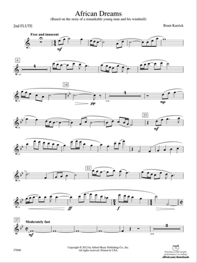 African Dreams: 2nd Flute