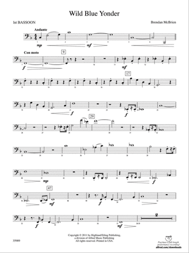 Wild Blue Yonder: Bassoon