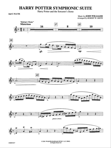 Harry Potter Symphonic Suite: 2nd Flute