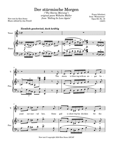 Der stürmische Morgen (The Stormy Morning)
