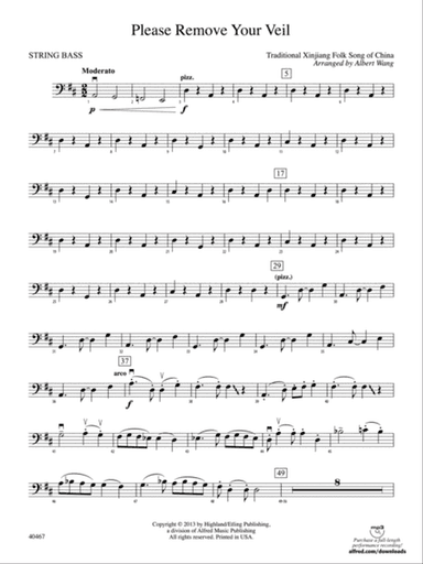 Please Remove Your Veil: String Bass