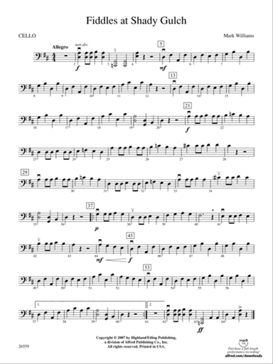 Fiddles at Shady Gulch: Cello