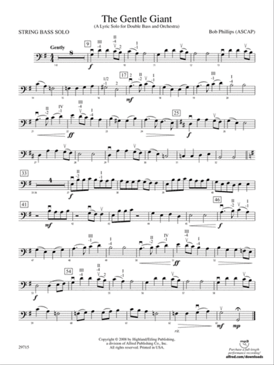 The Gentle Giant (A Lyric Solo for Double Bass and Orchestra): Solo String Bass