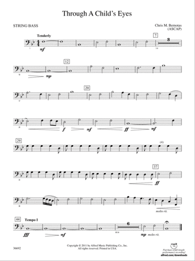 Through a Child's Eyes: (wp) String Bass