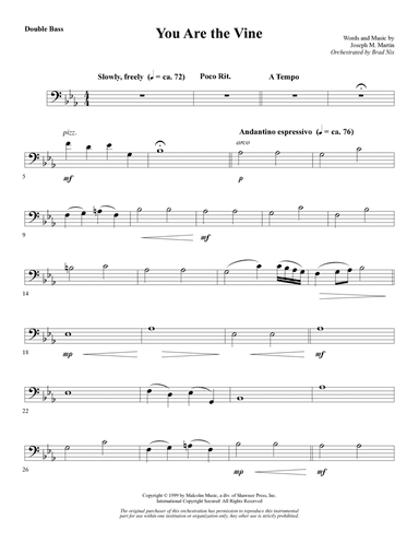 You Are the Vine - Double Bass