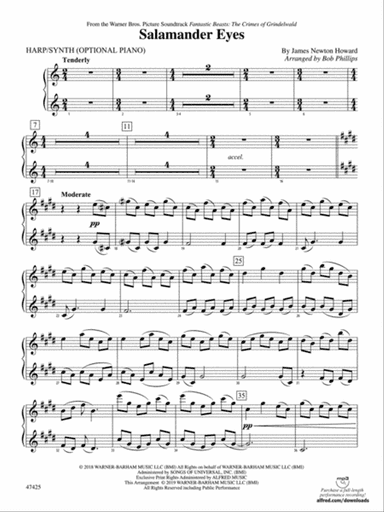 Salamander Eyes: Piano Accompaniment