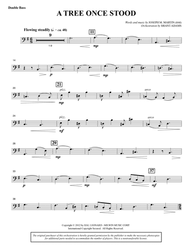 A Tree Once Stood - Double Bass