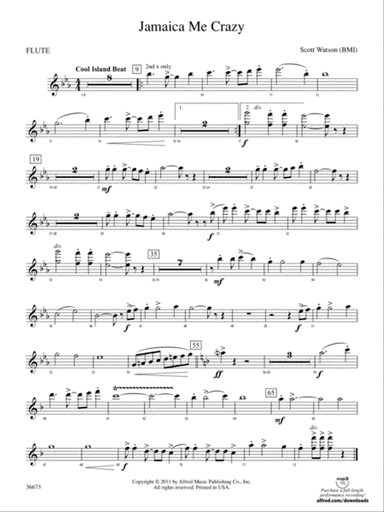 Jamaica Me Crazy: Flute