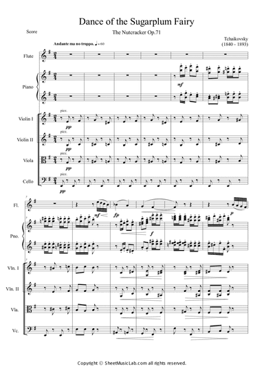 Nutcracker Op.71a - Dance Of The Sugarplum Fairy
