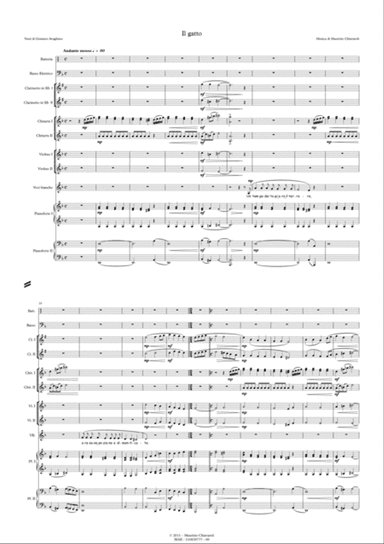 Il gatto (School orchestra version)