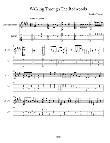 Walking Through The Redwoods